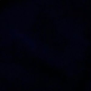 Meet your Posher, Lani